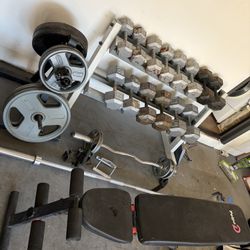 Full Gym Set, Some Rust But In Great Condition. 
