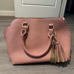 Pink Purse 