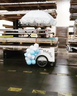 Paleta Cart