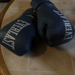 Everlast Boxing Gloves – Like New