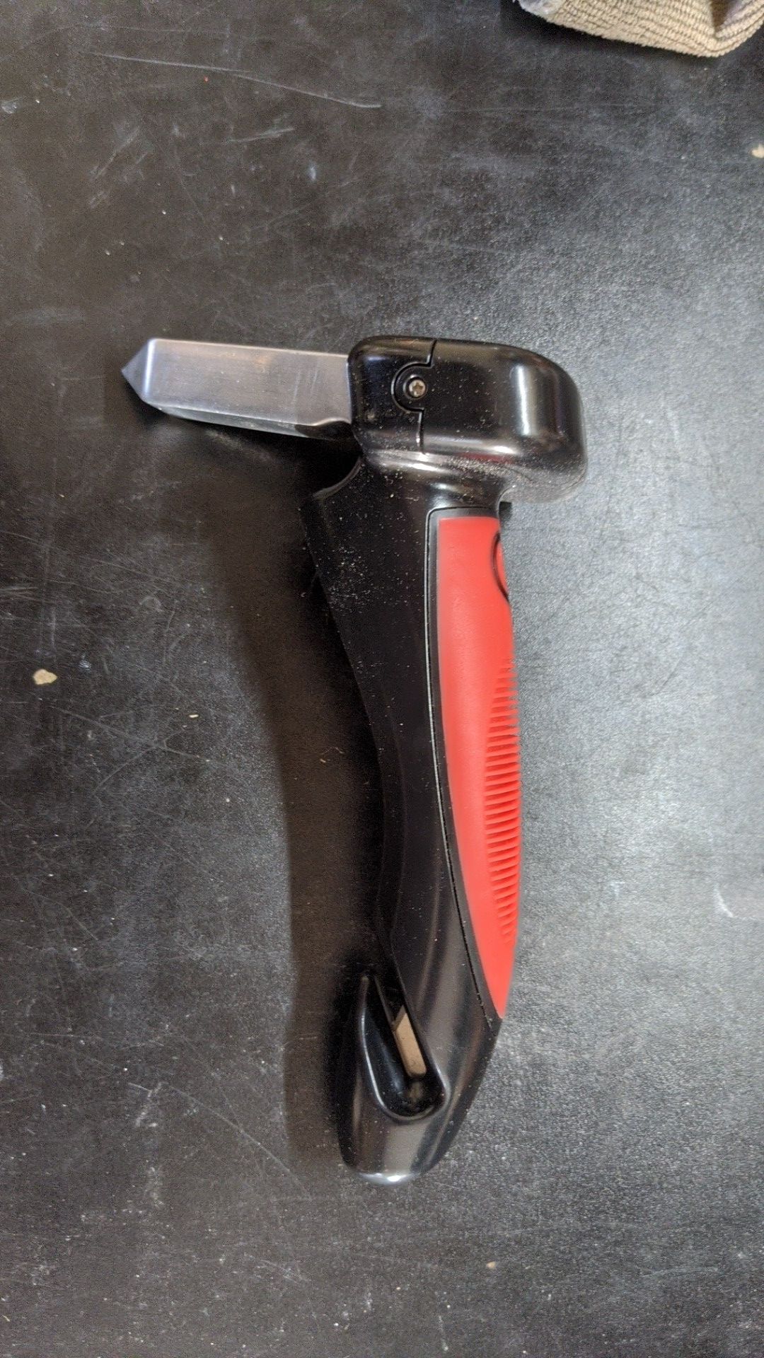 Car cane