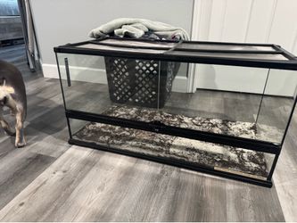 Reptile Tank