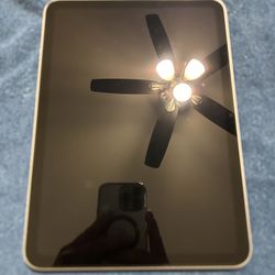 iPad 