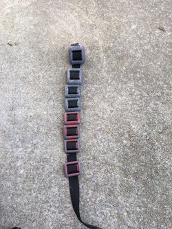 Trident weight belt and weights