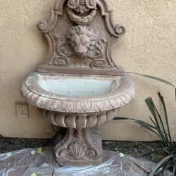 Fountain Lion