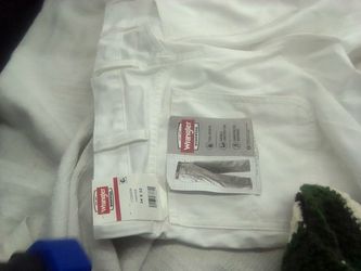 Painters Pants 34x32