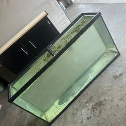 60 Gallon Fish Tank W/ Stand