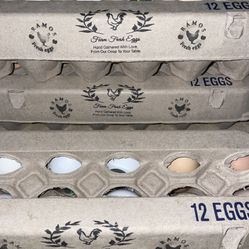 Fresh Eggs 