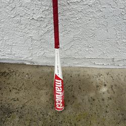 Cat 8 USSSA bat