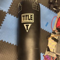 Title Heavy Bag with heavy duty wall arm