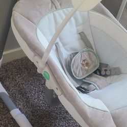 Baby Swing Ingenuity