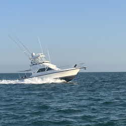 1999 Phoenix convertible 38’