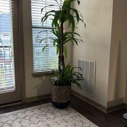 Artificial House Tree