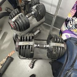 Weight Bench And Bowflex Set 
