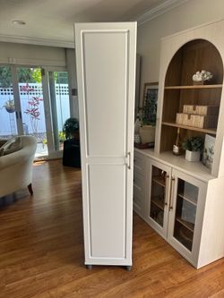 Tall narrow cabinet w/door