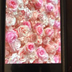 Wall Flower All New $799