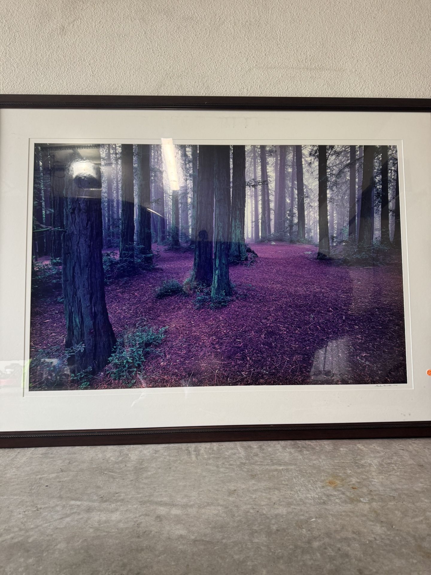 Vintage Art Photography Frame