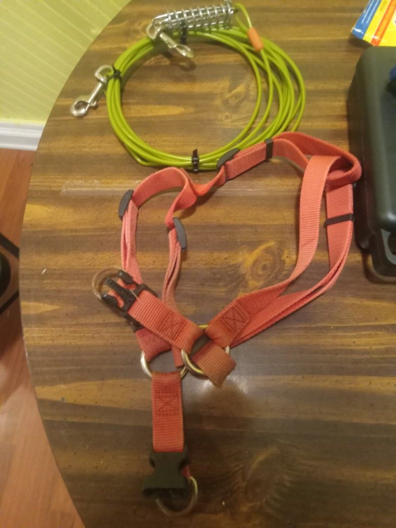Dog Harness W/ 25 Ft Tether For Medium To Large Dogs