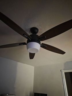 Ceiling fan