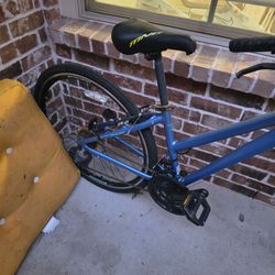 Adult Bike for sale