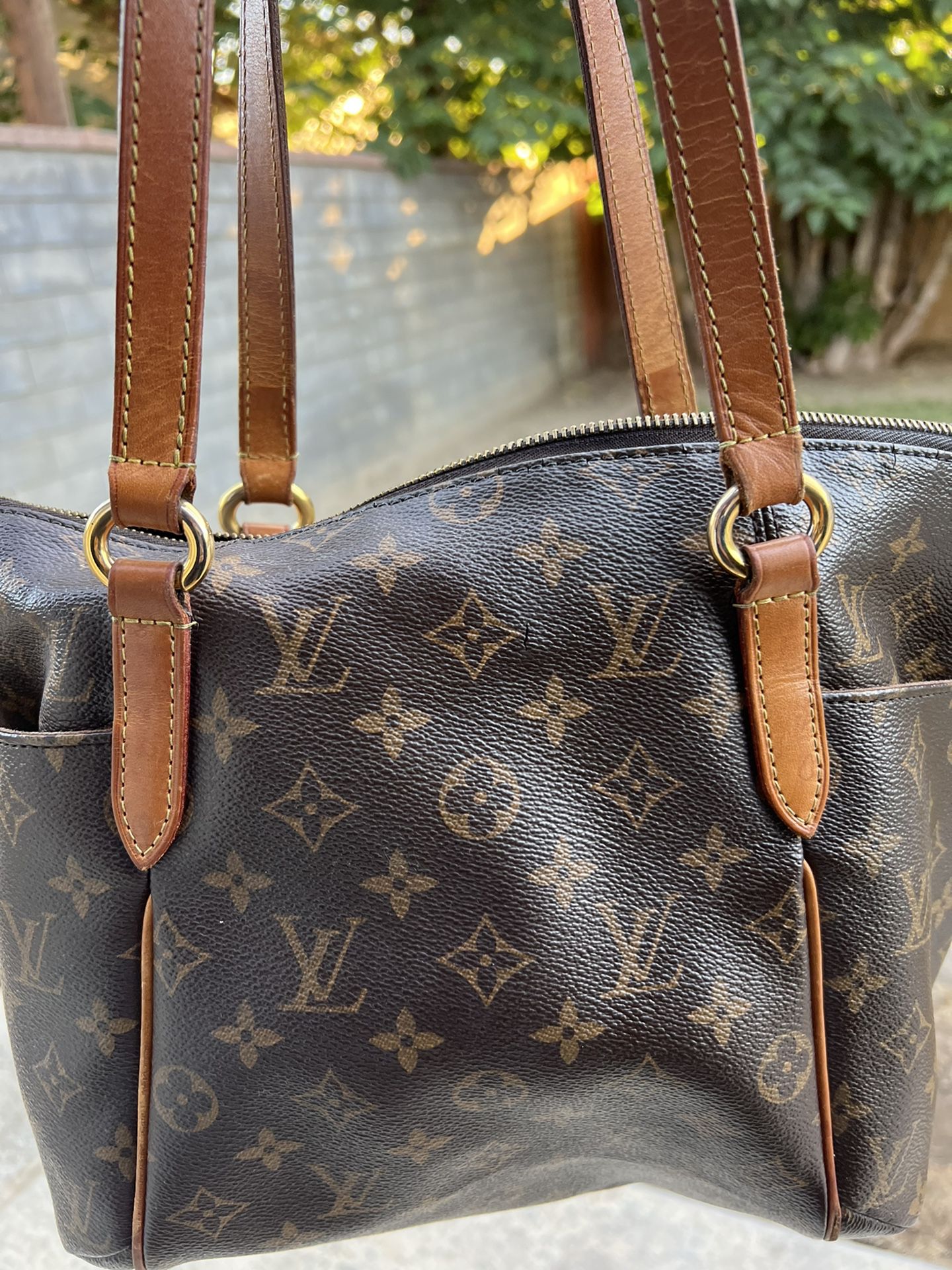 Louis Vuitton Bag LV 