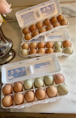 Fresh Eggs $3/dozen $2.50/dozen if you bring your own cartons