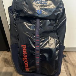 Patagonia Backpack