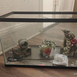 Fish Tank Small 