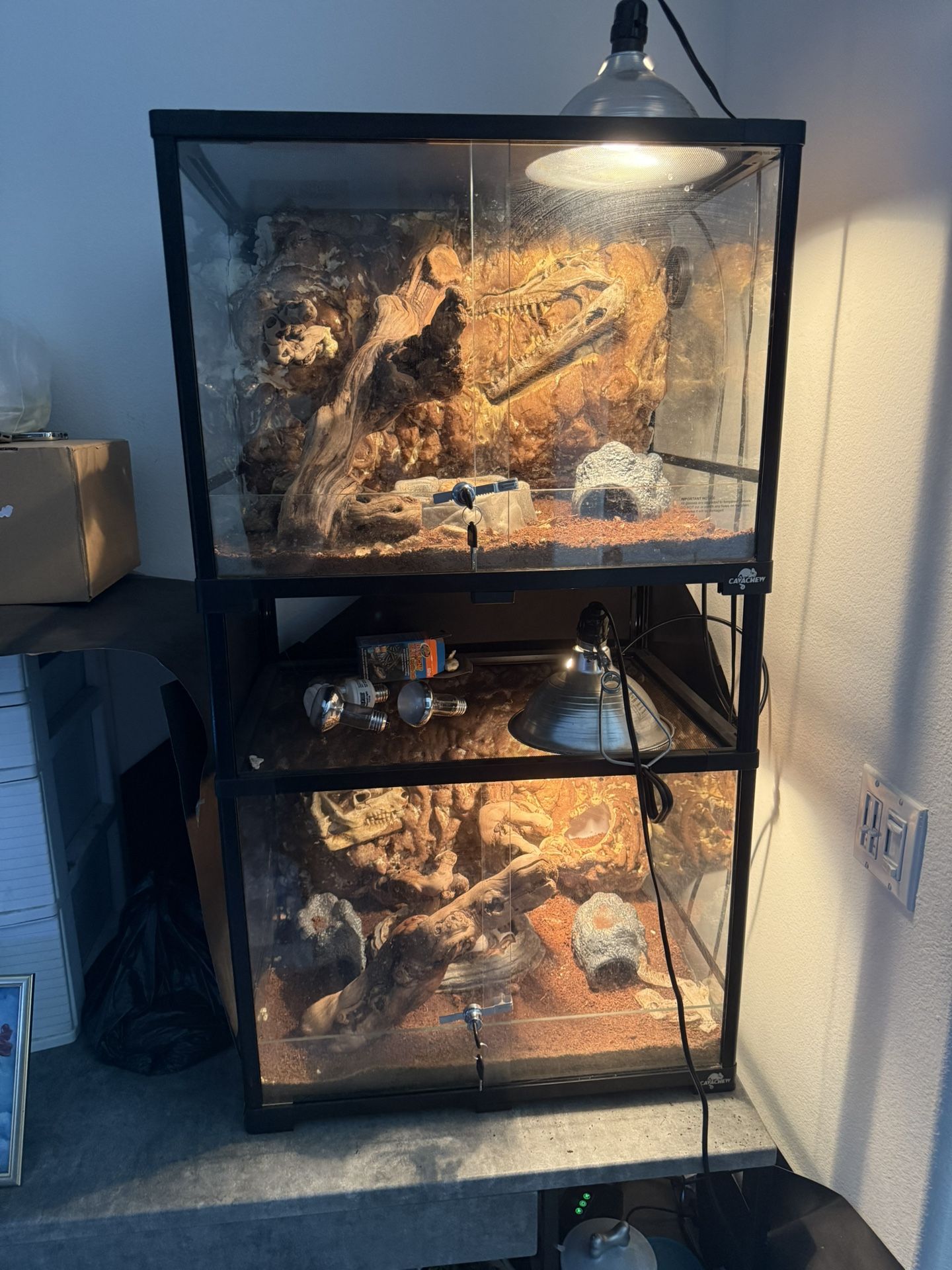 Snake Set Up