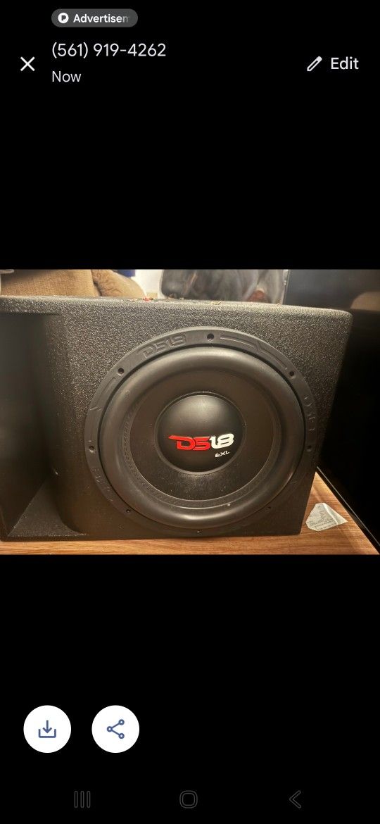 Ds18 12" Subwoofer 