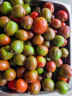 Ciruela/Jocote