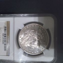 1881s Morgan Dollars Ms64 $180