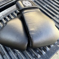 Mayweather Gym Boxing Gloves