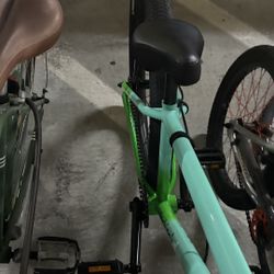 Blackjack D Mafia Bike