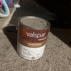 One Gallon 3.78L Of Paint