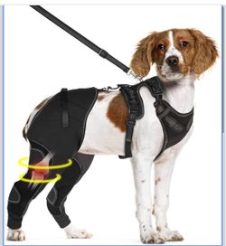 New Dog Hind Leg Brace - Support for Pets with ACL Injuries, Keeps Knee Joints Warm and Stable, Adjustable Dogs Rear Leg Wrap Harness Personalized Set