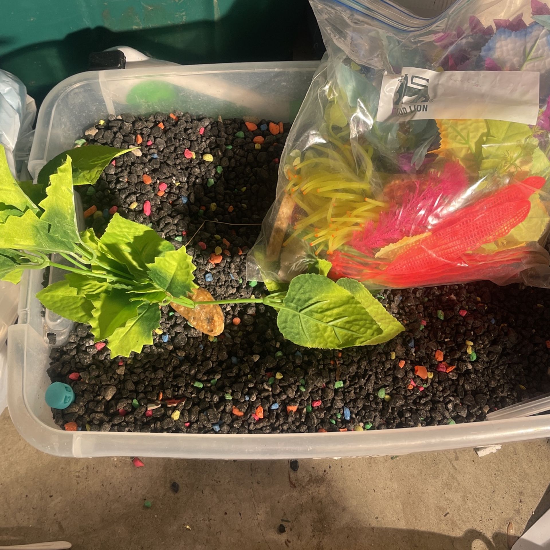 Glo Fish / Fish Supplies