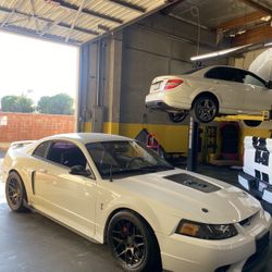 Cobra