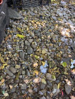 River rocks