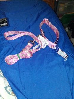 Dog leash and collar