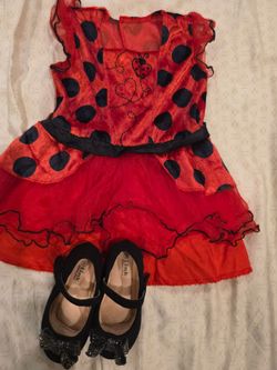 ladybug costume