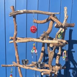 Macaw - Large Parrot Perch Tree…. Hard Durable Ribbon Wood 🪵 Lasts For Years ! 