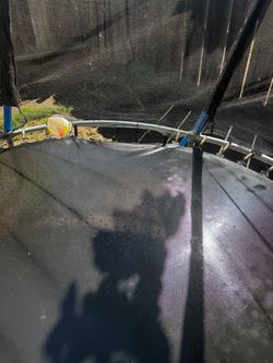 Trampoline