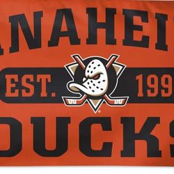 Anaheim Ducks Hockey Flag 5ftx3ft $20 Firm On Price