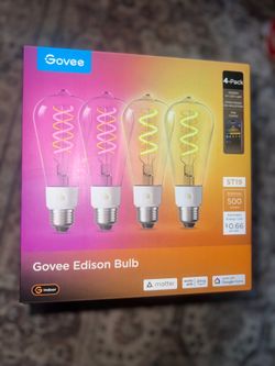 Govee Edison bulbs