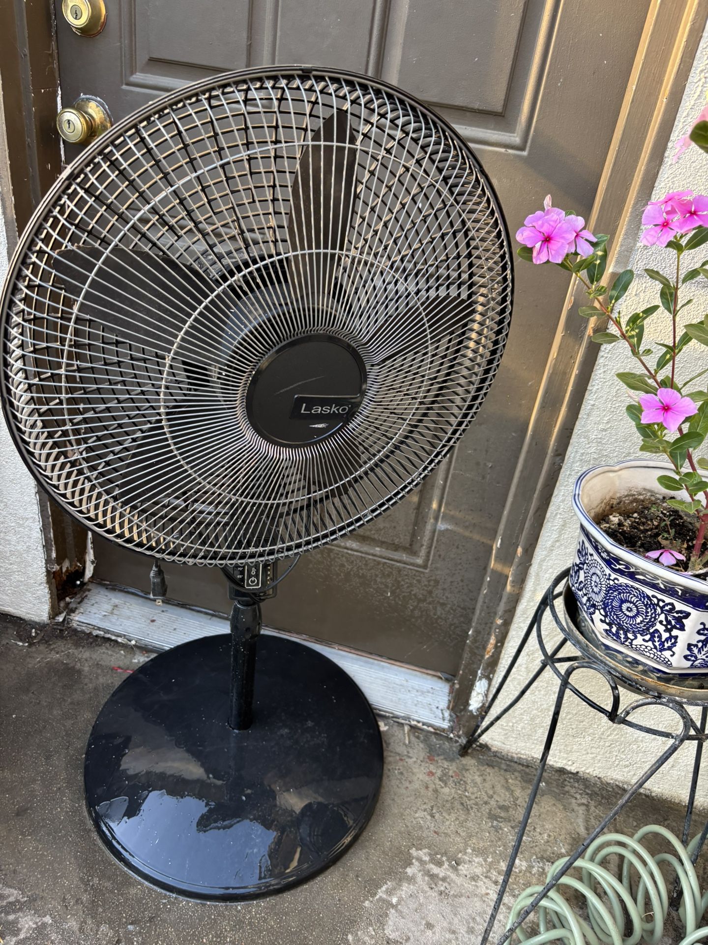 Fan