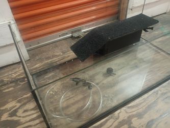 Amphibious reptile aquarium water filters