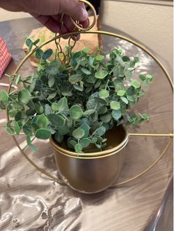 Plant hanger