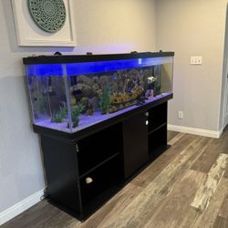 Fish Tank 