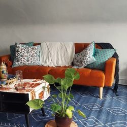 Adjustable Sofa Bed / Futon